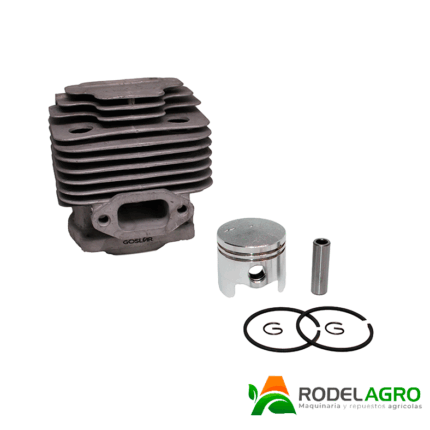 Cilindro Completo BL-43