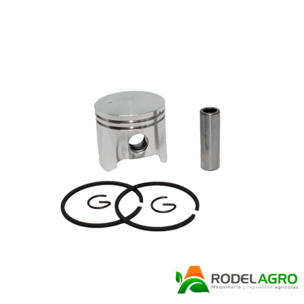 Pistón Completo M-420