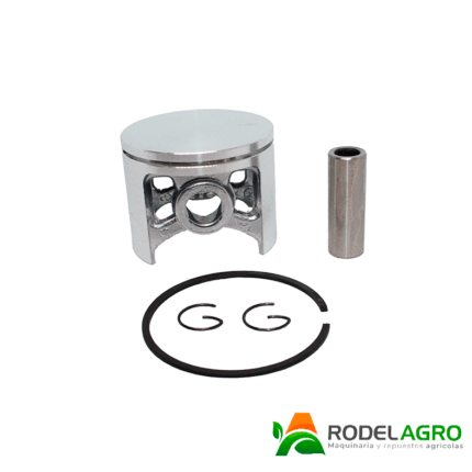 Pistón Completo H-288